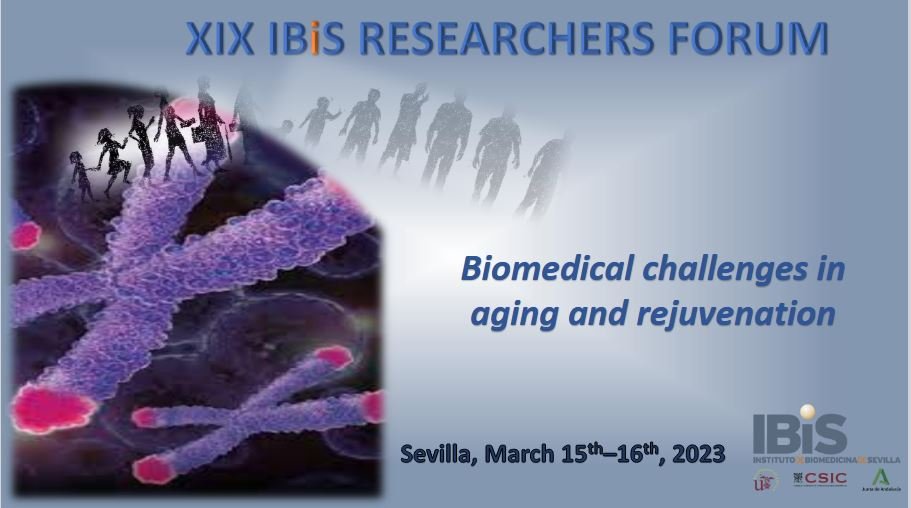 XIX IBiS Researchers Forum 2023 HealthyCloud